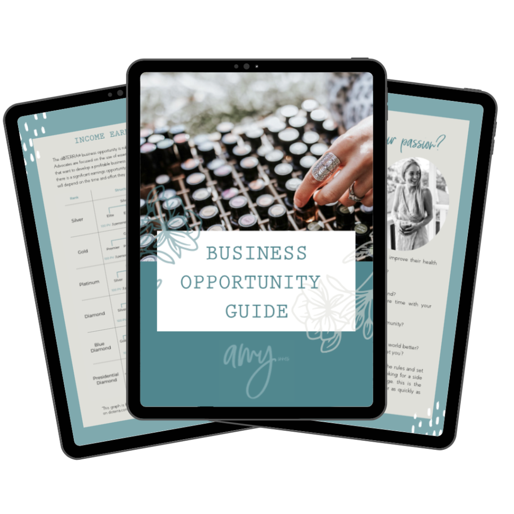 Business Opportunity Guide on an iPad - Amy Innes